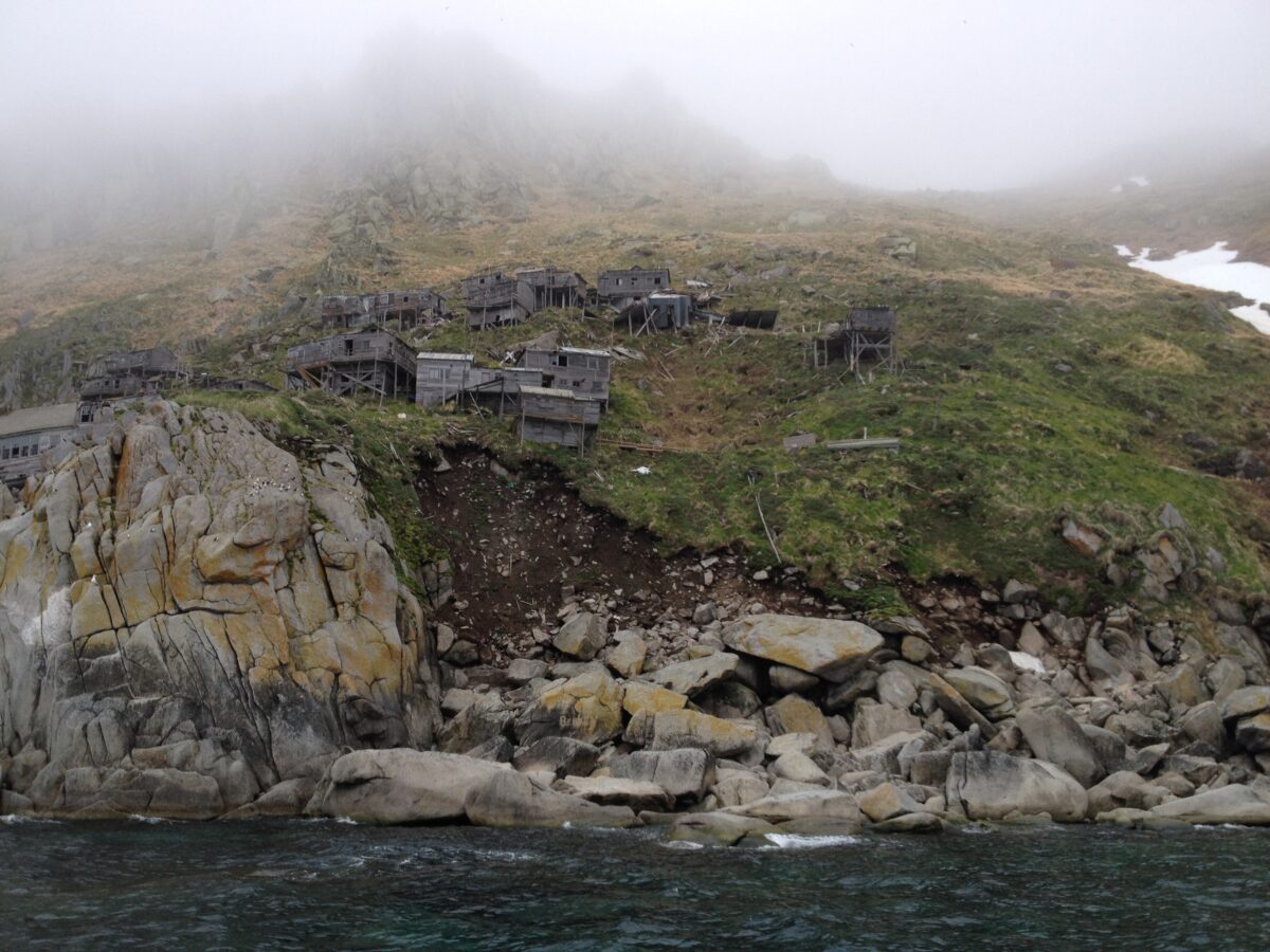 Craggy, grassy island cliff and shoreline, wrapped in mist