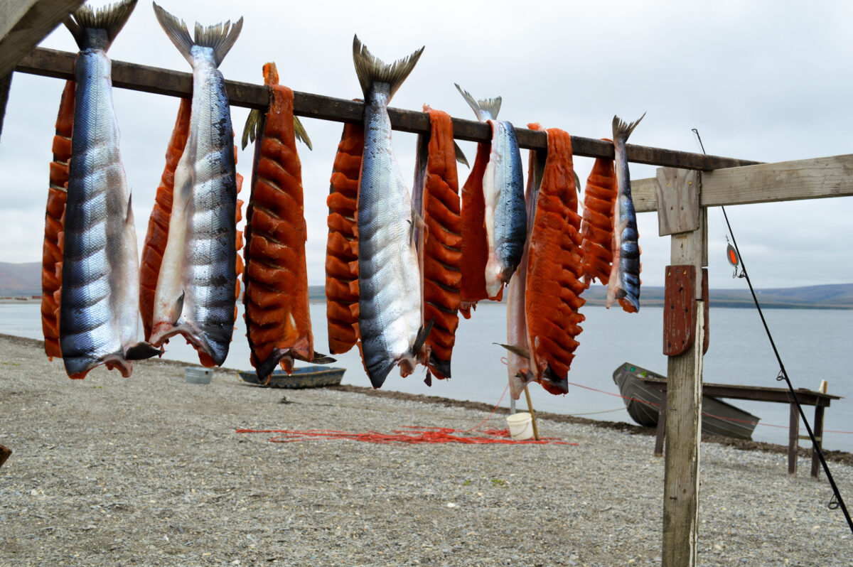 Salmon drying on a fish rack in Teller. Photo: Jenn Ruckel, KNOM.