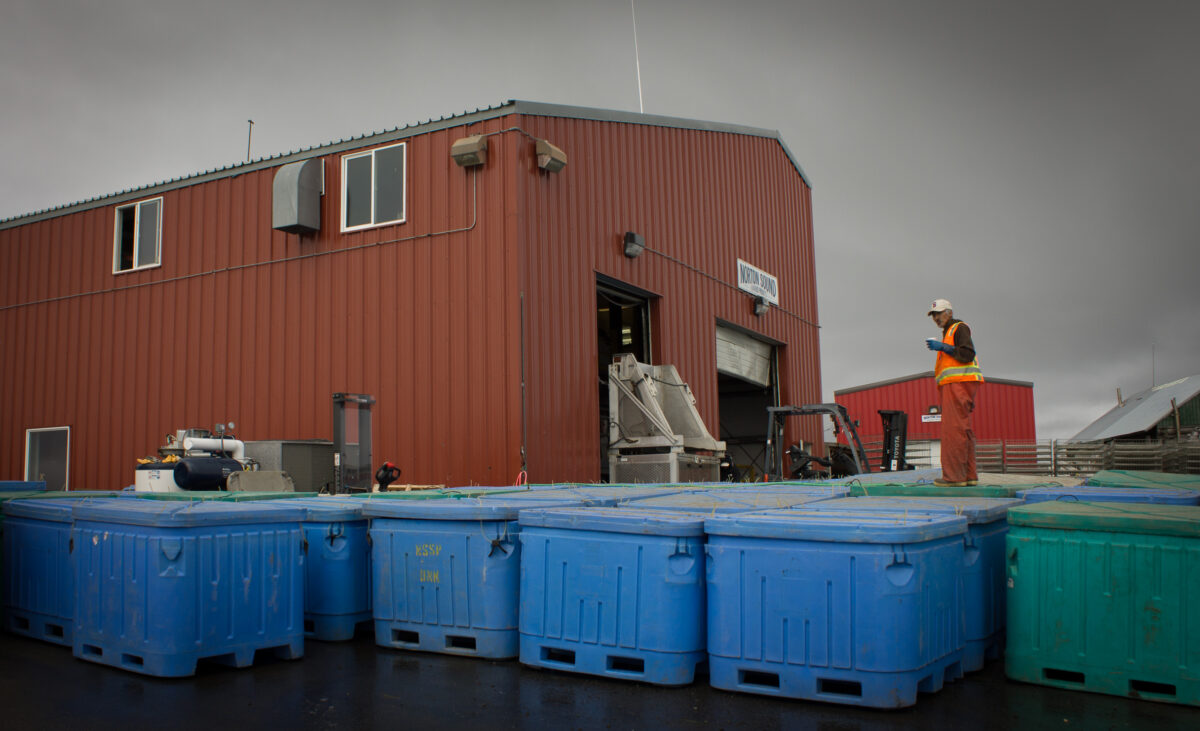 Norton Sound Seafood Products in Unalakleet