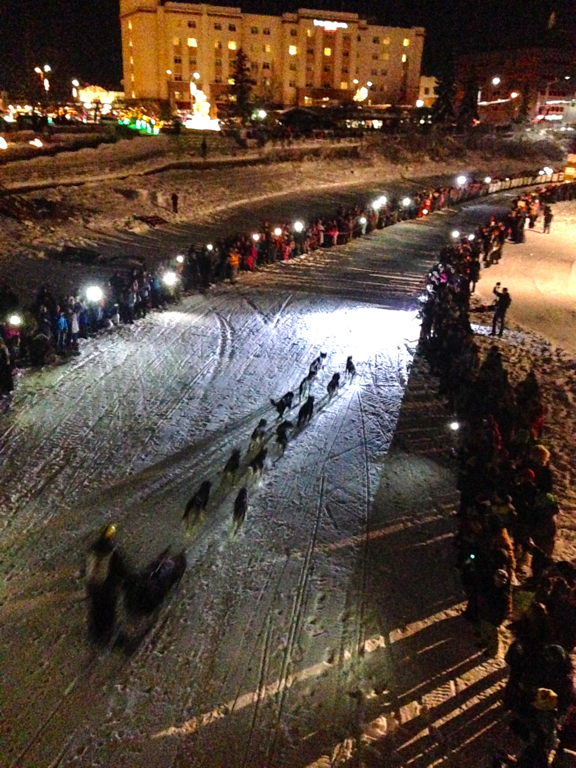 Brent Sass races to a first-place finish at the 2015 Yukon Quest. Photo: Emily Russell, KNOM.
