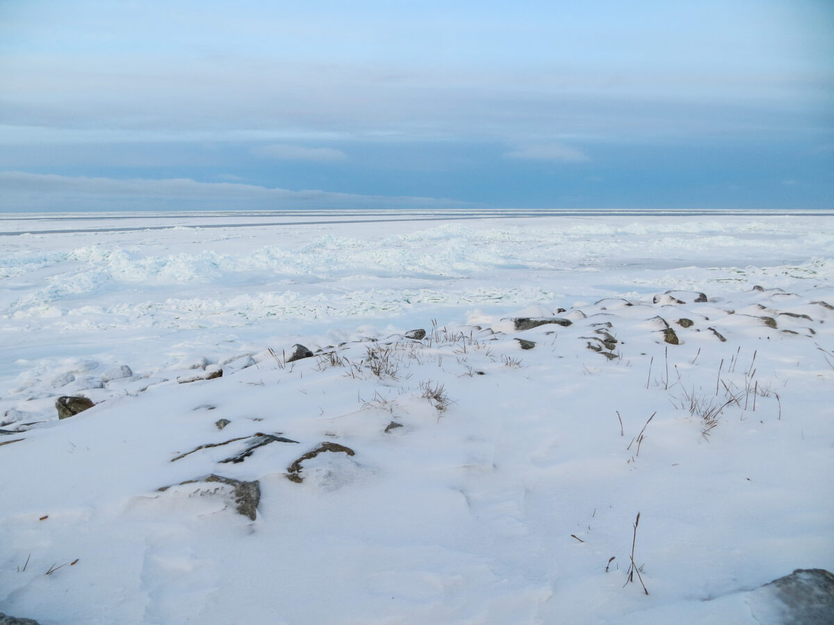 Shishmaref Sea Ice. (Photo: Maddie Winchester, KNOM)