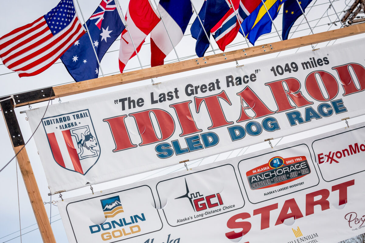 Iditarod 2015 Start Line Banners