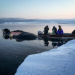At the icy coastline near Savoonga, Alaska, villagers bring in a whale catch.