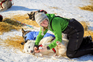 Katherine Keith tending to her dogs in Kaltag before departing for Unalakleet.
