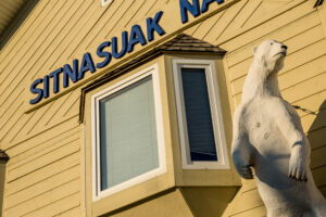 Polar bear in front of Sitnasuak Native Corporation building in Nome.