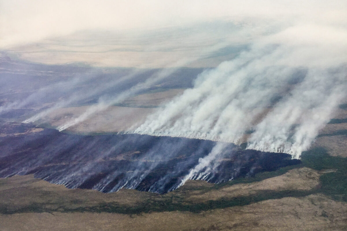 An aerial overview of a wildfire in southwestern Alaska