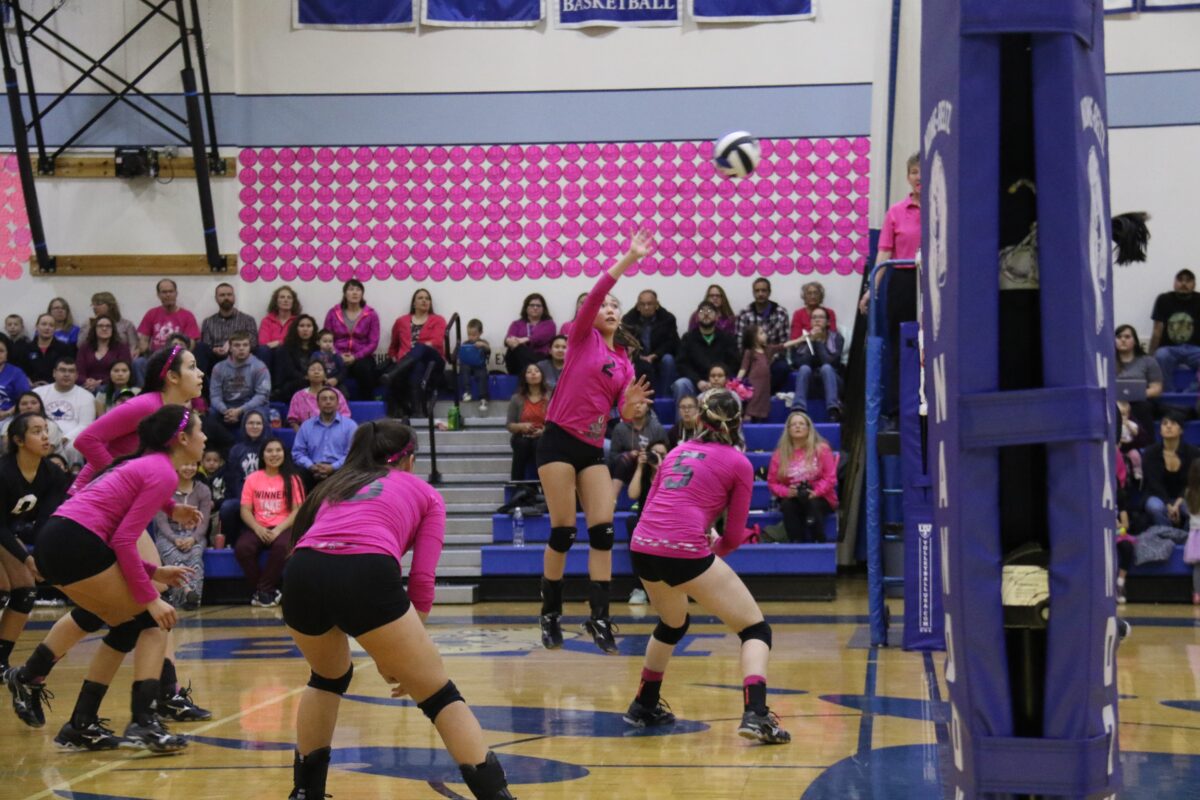 Pink "honor balls" fill the gym walls as Nome-Beltz senior Taeler Brunette spikes the ball in a game Friday (Photo: Janeen Sullivan, used with permission)