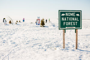 "Nome National Forest" sign stands on sea ice with scattered trees and painted decorations behind.
