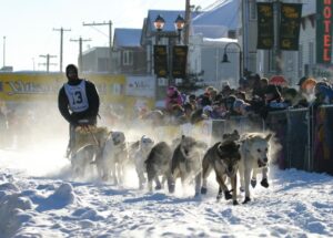A dog team and musher race out of the finish chute, with people cheering them on