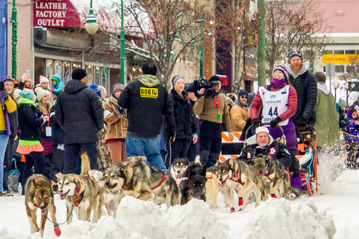 Woman in purple parka mushes sled dog team down a snowy street in Anchorage.