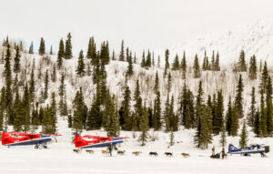 Iditarod team runs past several parked bush airplanes in a snowy landscape.