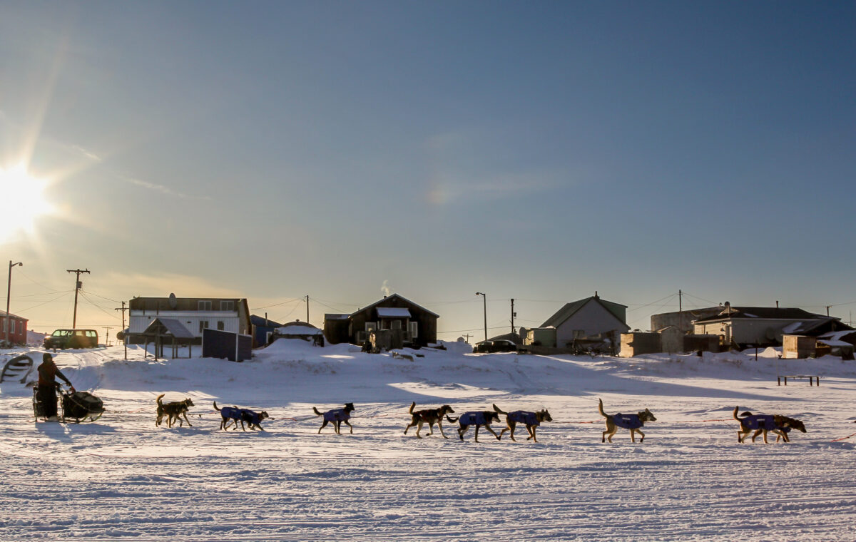 Iditarod musher leaving Unalakleet, with buildings of the village behind him