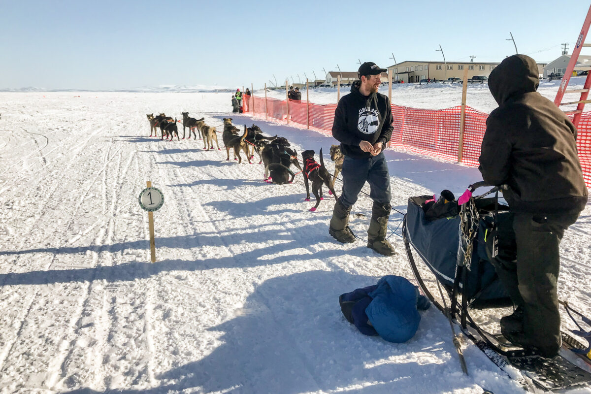 Man in black sweatshirt walks next to a team of sled dogs.