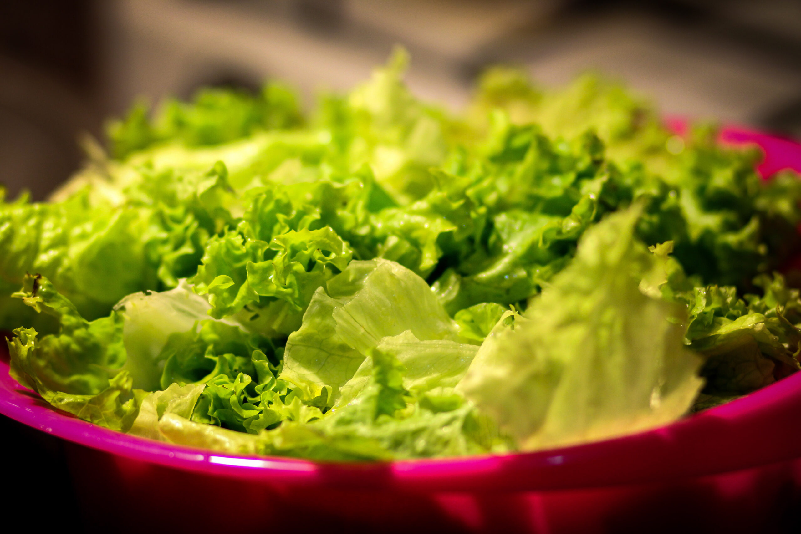 Close-up view of green lettuce in pink bowl