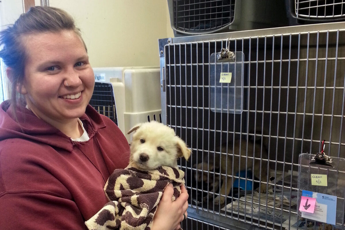 Woman in maroon sweatshirt smiles while holding a puppy inside an animal shelter.