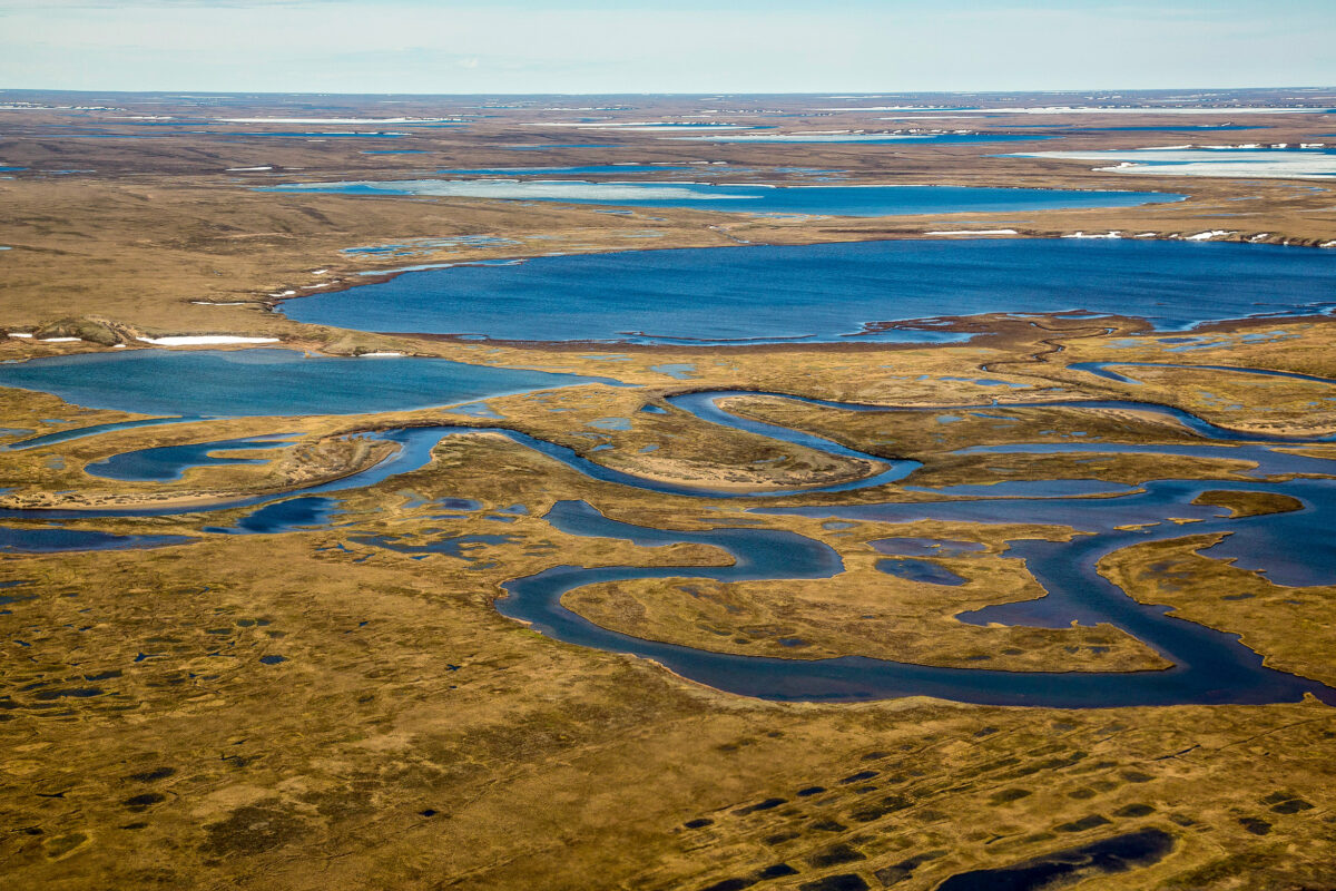 An aerial, summertime view of a small portion of the vast National Petroleum Reserve–Alaska.