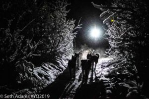 Silhouettes of musher with headlamp and sled dog team running through a narrow, snowy forest trail in the pitch blackness of night.