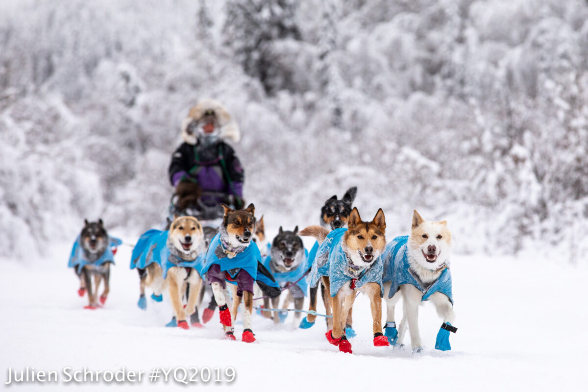 Sled dog team mushes along a snowy, forest trail during the daytime.
