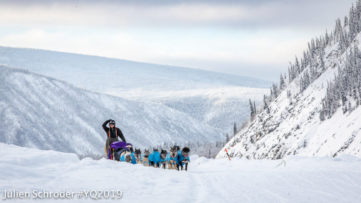 Sled dog team ascends trail amid snow-covered, forested mountains.