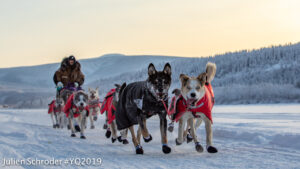 Close-up of sled dog team running down snowy trail with forested mountains in background.