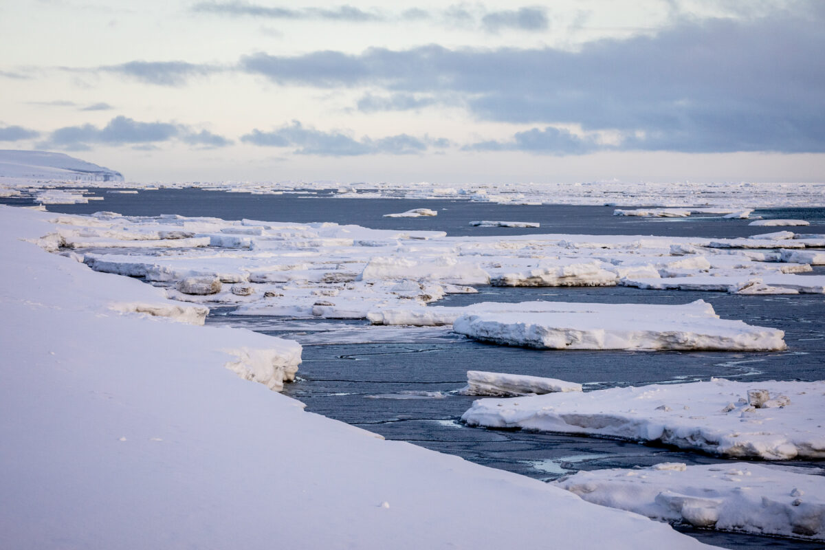 A landscape image of the Bering Sea coast near Nome, showing open water and scattered icebergs.