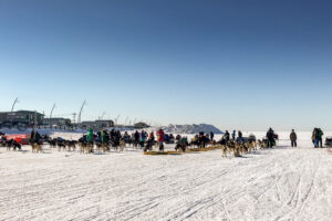 Landscape of sled dog teams lined up next to each other on a flat, snowy expanse on a clear, sunny day.