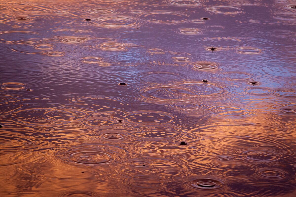 Close-up view of pond or puddle during rainfall, with drops rippling on the surface of the water
