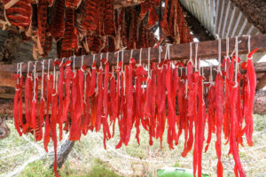 A picture of smoked salmon hanging in a rural Alaska smokehouse.