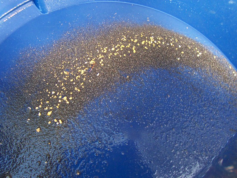 Flakes of gold across a blue gold pan.
