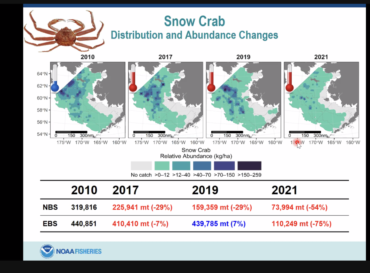 A graph depicting NOAA Bottom Trawl survey: Snow Crab