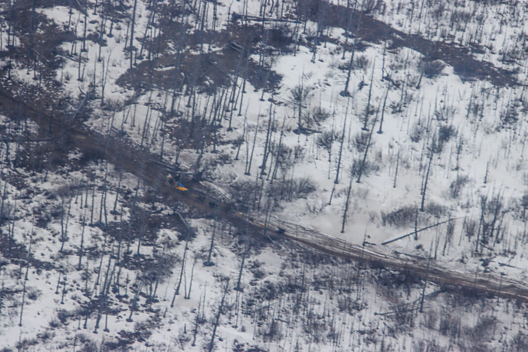 Iditarod trail of burnt trees. Aerial shot