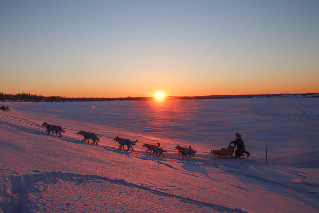 Dog sled team running up a snowy hill, sunset in background