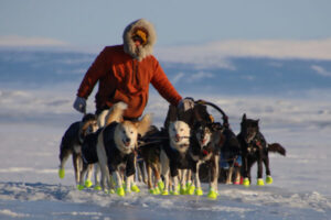 Man riding with his sled dogs