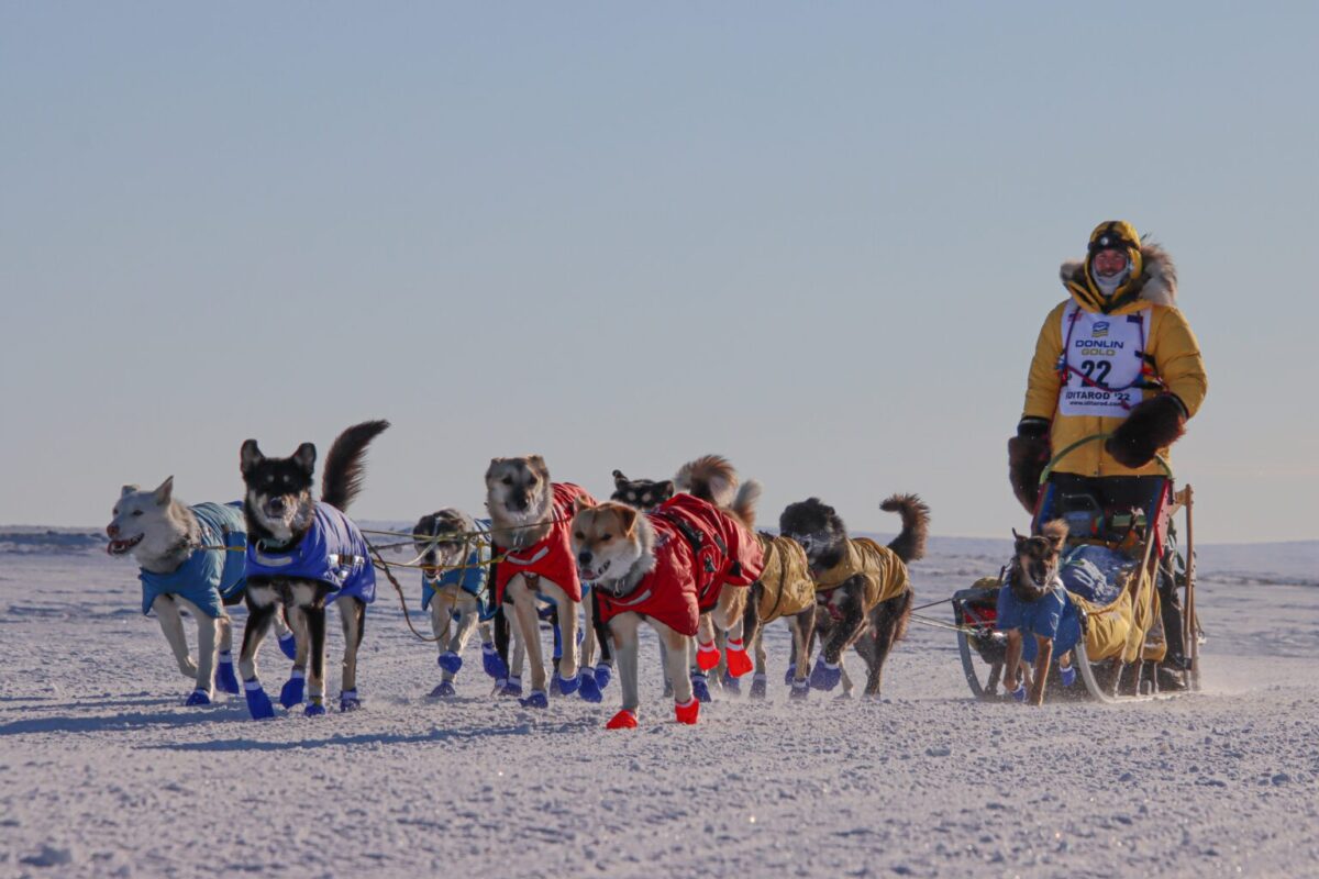 sled dog team