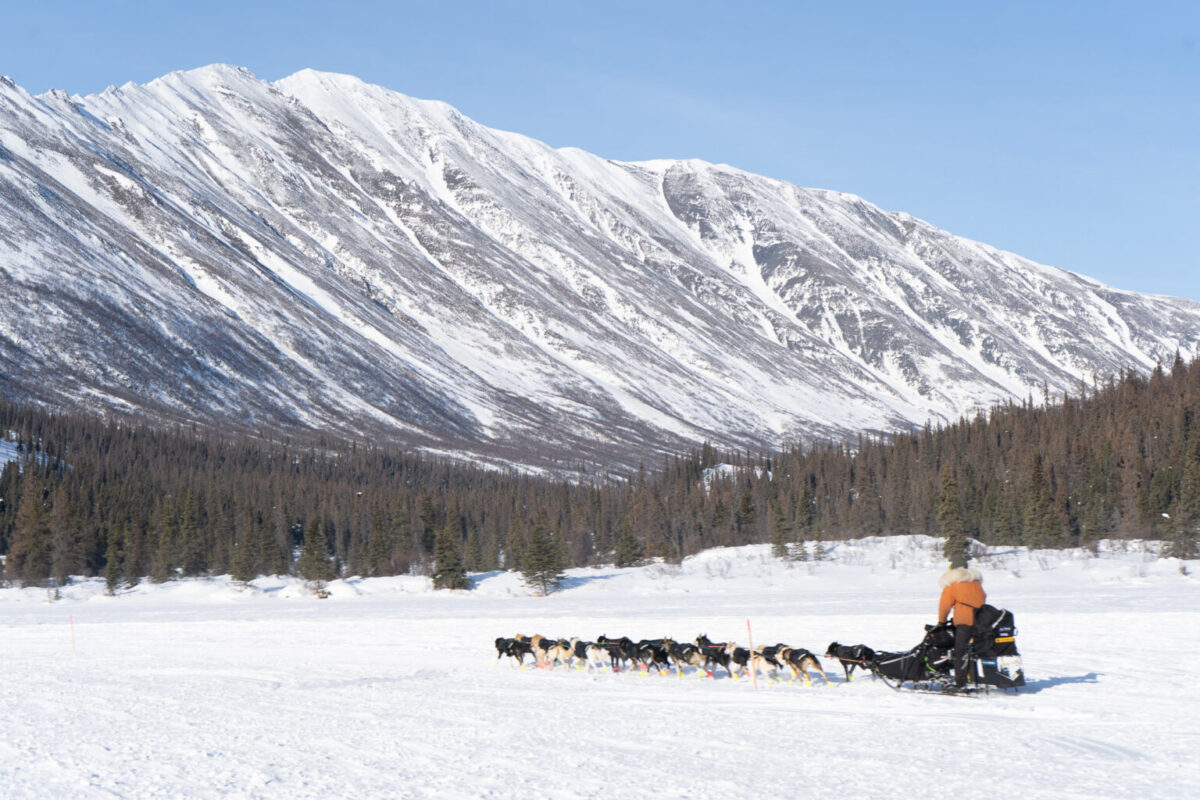 musher and sled dog team in front of mountain