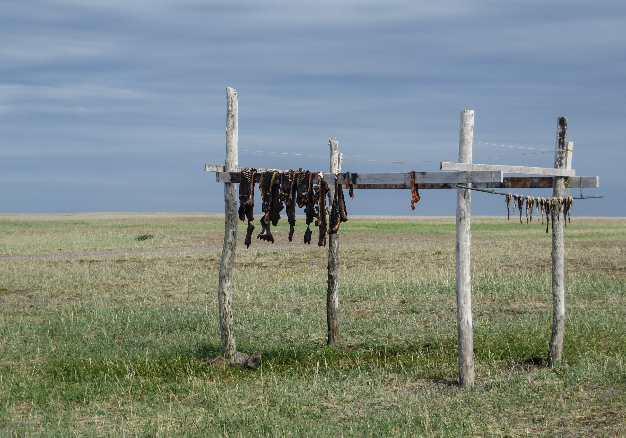 A drying rack in Gambell.